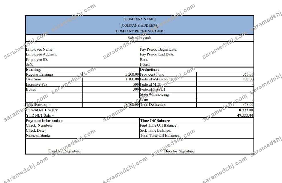 salary pay stub template, version 2